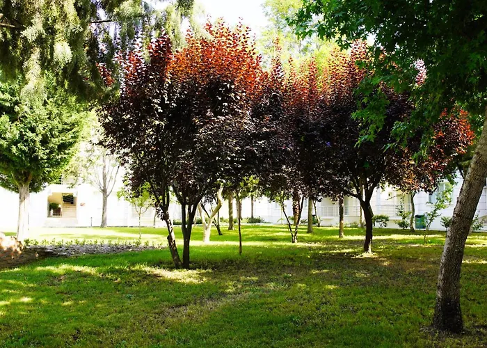 Aparthotel Airport Club Onat Garden Tatil Koeyue